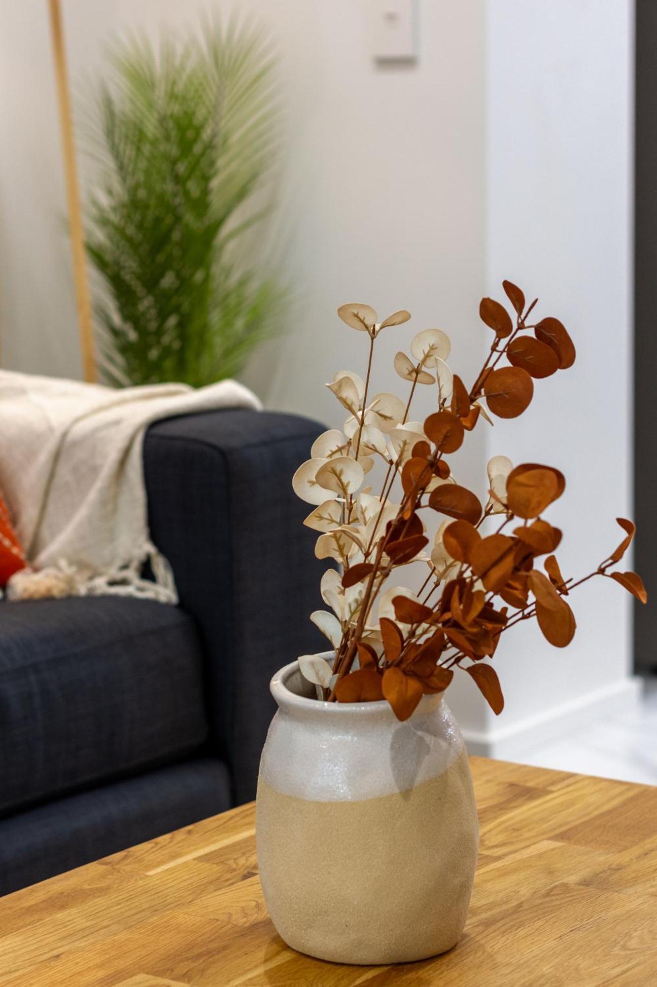 Modern City Lifestyle: 2 Bedroom 1 Bath Christchurch Exteriör bild